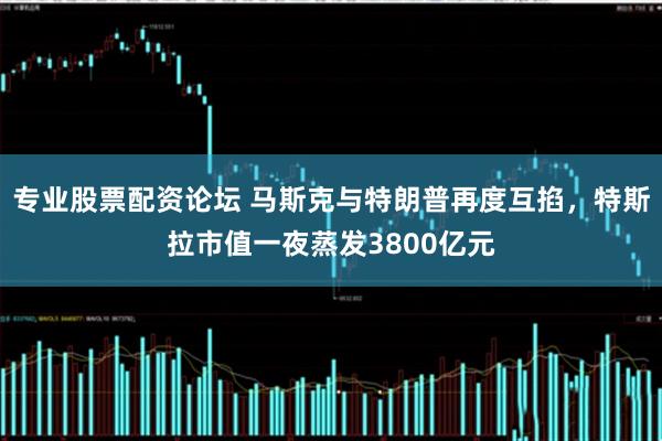 专业股票配资论坛 马斯克与特朗普再度互掐，特斯拉市值一夜蒸发3800亿元
