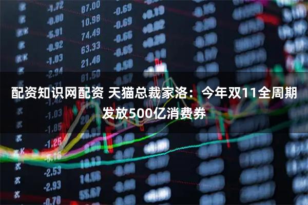 配资知识网配资 天猫总裁家洛:今年双11全周期发放500亿消费券