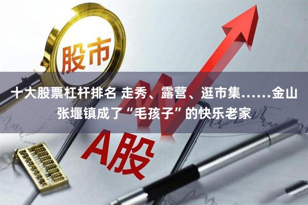 十大股票杠杆排名 走秀、露营、逛市集……金山张堰镇成了“毛孩子”的快乐老家