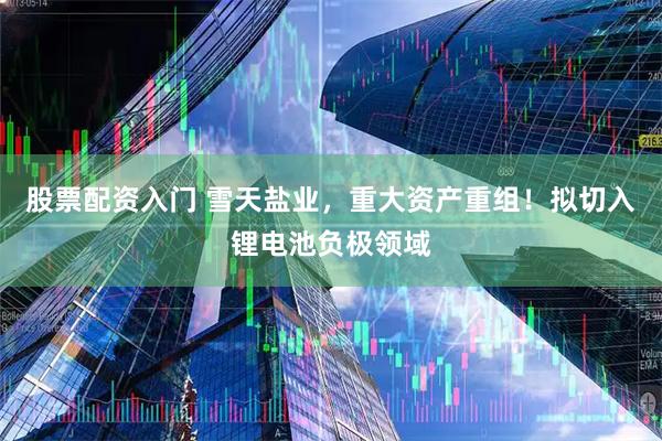 股票配资入门 雪天盐业，重大资产重组！拟切入锂电池负极领域